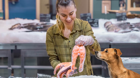 Salmon oil supplement for dogs